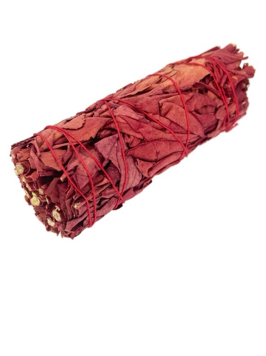 ❤Dragon's Blood sage 10cm