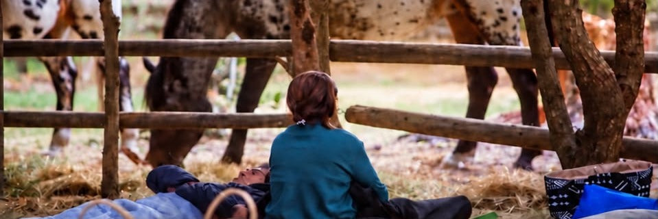 Amongst the Horses: a sound journey